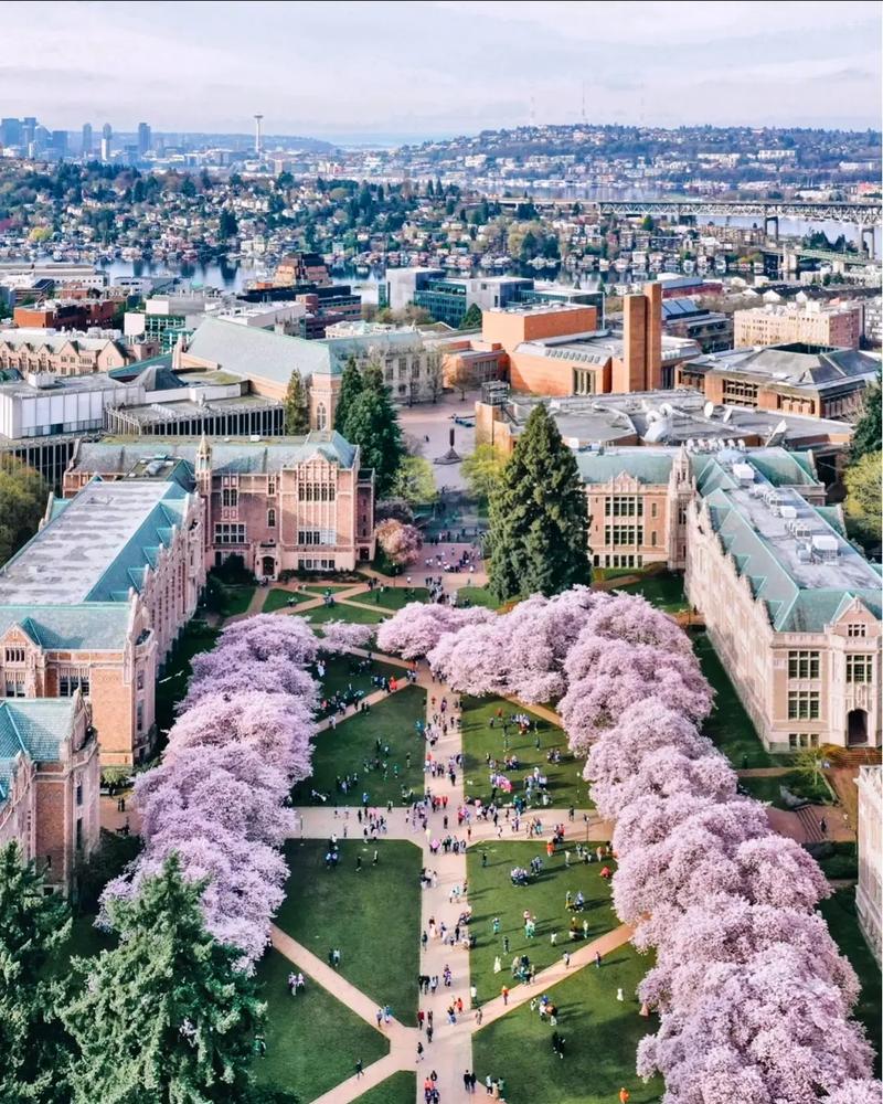 卡内基梅隆大学